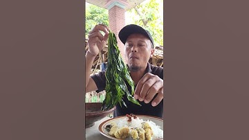 Thumbnail of nasi sambel lalap daun singkong