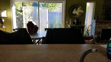 Floating soap bubble