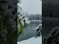 Симферополь ❄️ 03.02.2023 Долгожданный снег ☃️ #крым #симферополь #паркгагарина