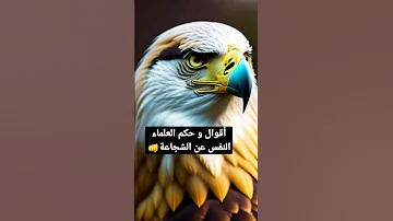 أحد أقوال وحكم العلماء في علم النفس عن الشجاعة تساهم في تقوية الشخصية 