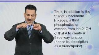 BIO302 Topic124