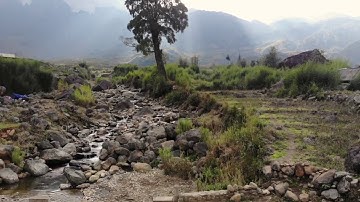 Cảnh đẹp Núi Rừng Tây Bắc 2019  - QH mode