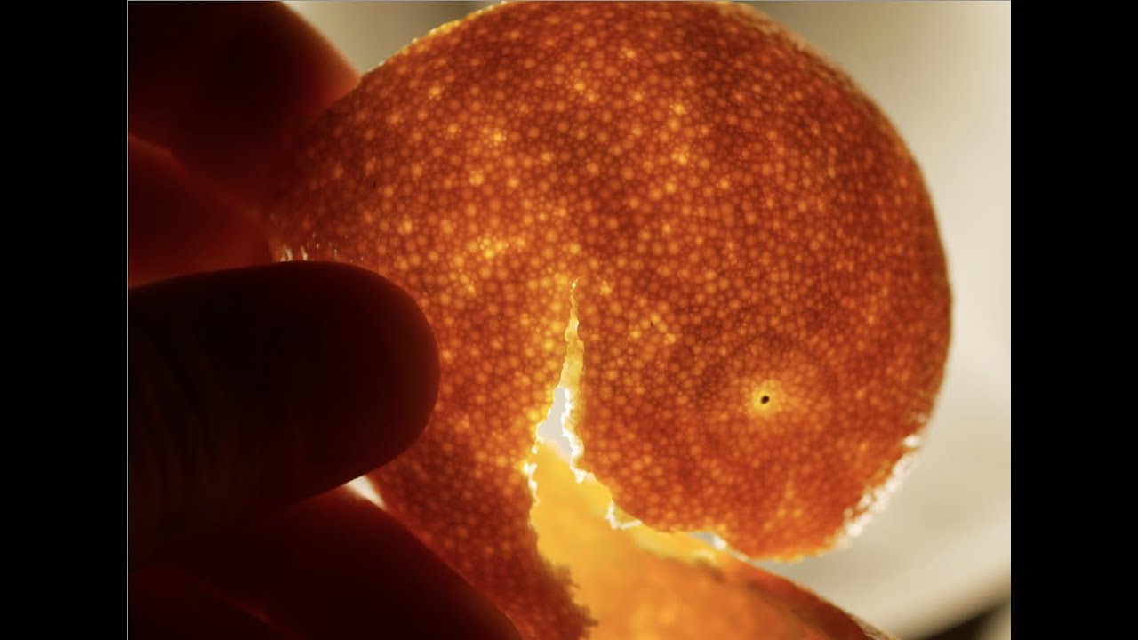 Hard Spheres, Particle Simulations, and the Wolfram Model | Wolfram Winter School 2022 | Matt Kafker