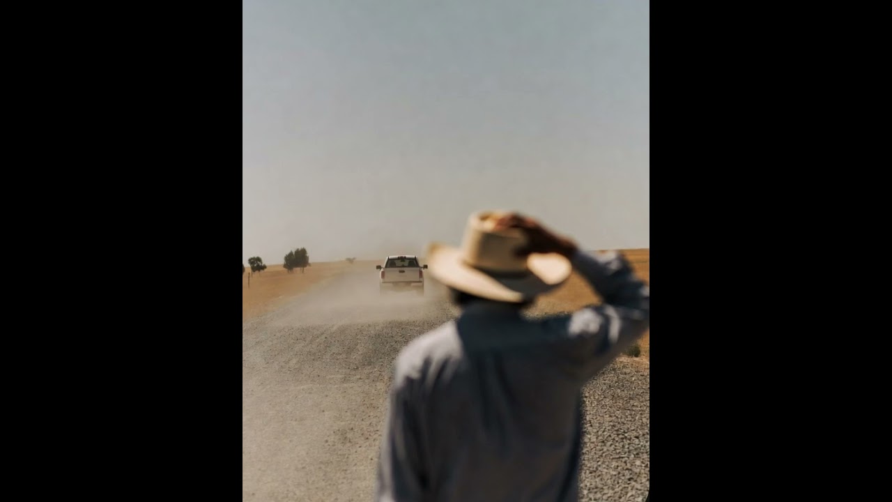 Dust on the horizon
