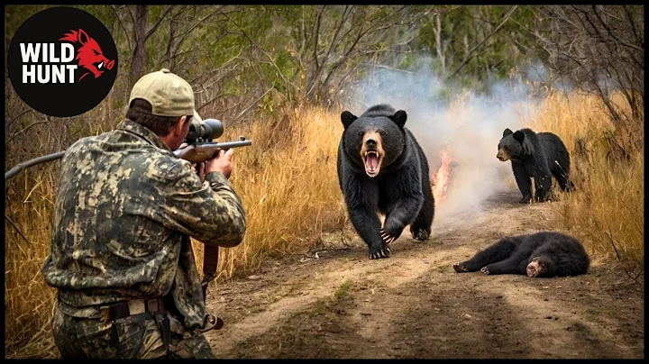 How Do Hunters and Farmers Deal with Millions of Feral Hogs, Black Bears by Guns?