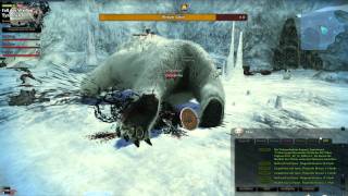 Vindictus EU Fun xD Bug