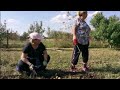 Влог :Купили Дом на Юге /Переехали с Дальнего Востока /Наш Урожай/Чьи Орехи????