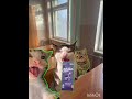 #shorts Типичный мой класс... Дай, поделись, угости😡😱😱😱😱😱