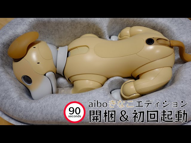 90秒に圧縮】開梱！aibo きなこエディション - YouTube
