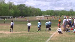 NSU U8 Soccer game