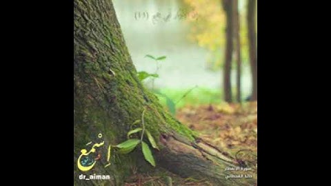 *والأمر يومئذ لله - تلاوة مؤثرة جداً بصوت القارئ خالد القحطاني* .
