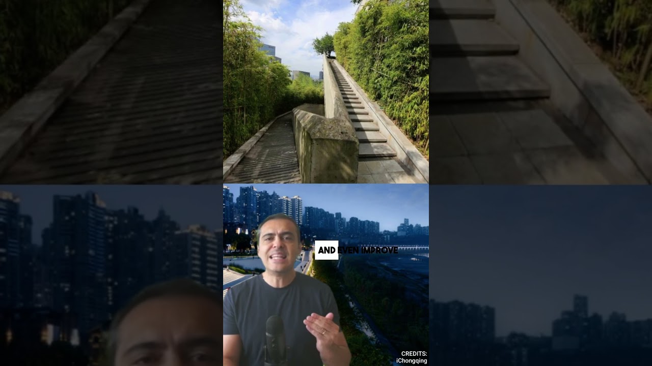 239 species of plants growing spontaneously on urban walls!