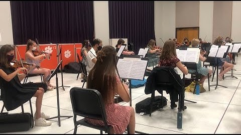 COVID-19 Mitigation Strategies for String Instruments