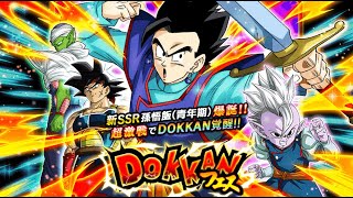 Here We Go Teq Ultimate Gohan Banner Summons Dragon Ball Z Dokkan Battle