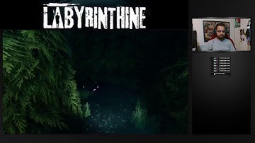 OMG I LOST MY FRIENDS - Labyrinthine