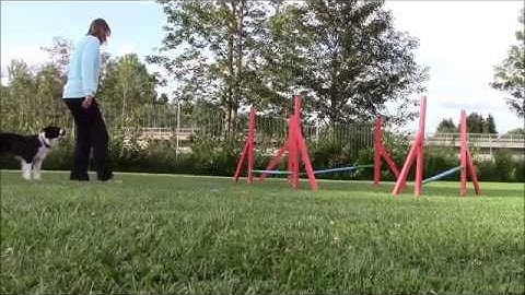 Bend Work Foundation Grid - Susan Salo