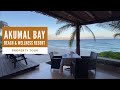 Tour Of Akumal Bay Beach & Wellness Resort (2020)