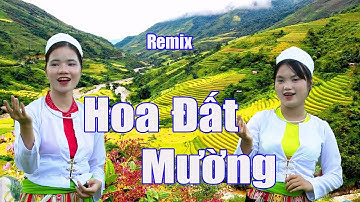 Bài hát Hoa đất Mường nhạc Remix