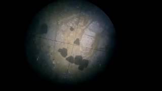 Dunite in thin section under microscope