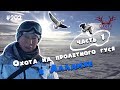 Аллаиха - охота на пролетного гуся (часть 1)