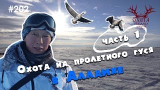 Аллаиха - охота на пролетного гуся (часть 1) Аллаиха - охота на пролетного гуся (часть 1)