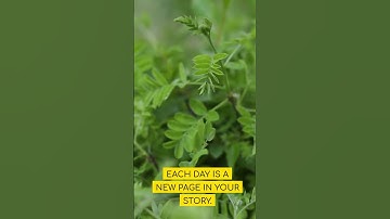 Path of Self Discovery