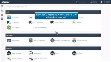 How to change your cPanel password