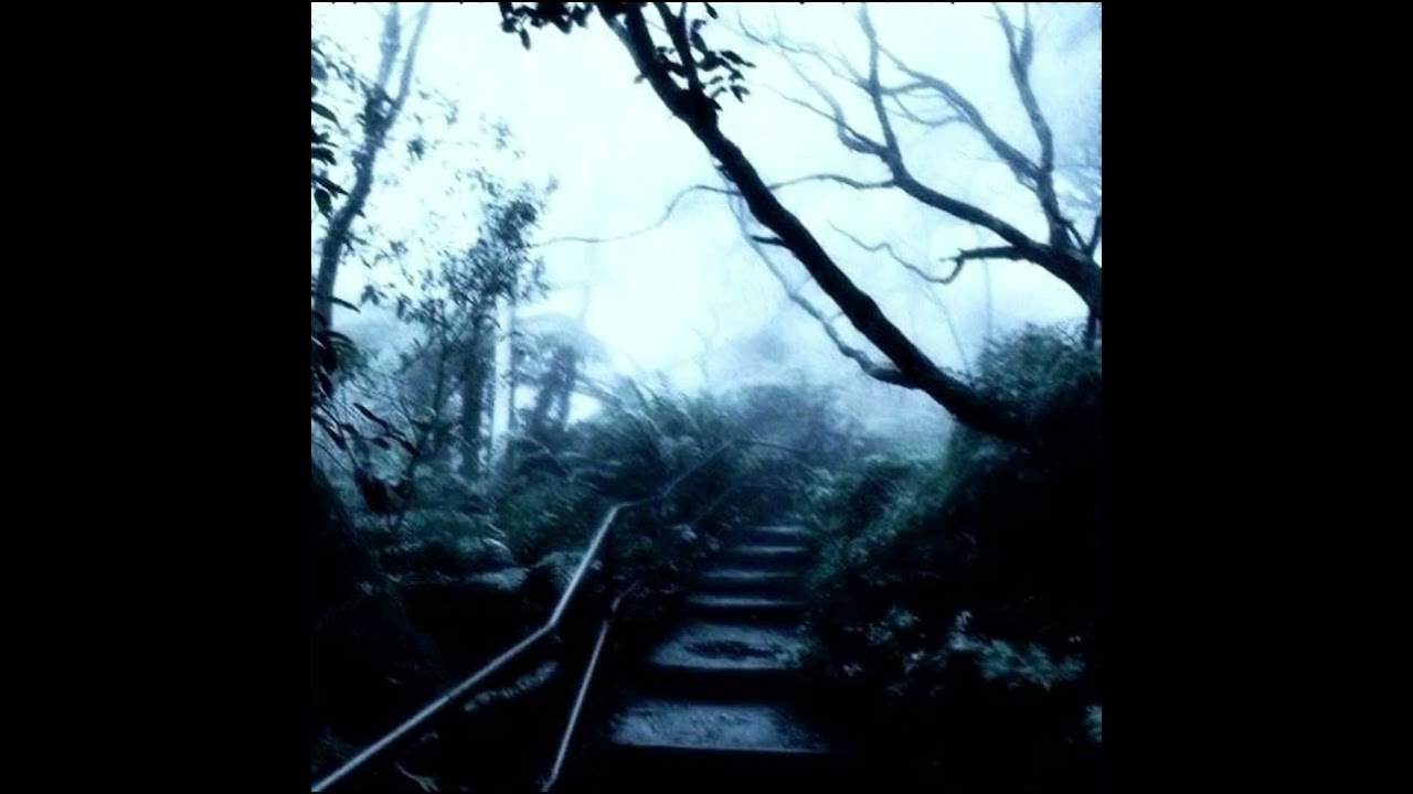 pathetic - society (slowed + reverb)