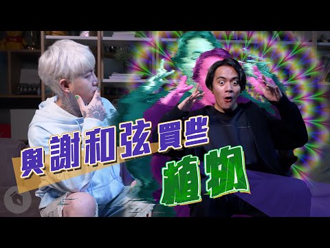 與 @謝和弦 R-chord馬槽音樂 買些植物｜#零客套｜喬瑟夫 ChillSeph