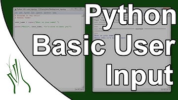 Python - How to collect user input