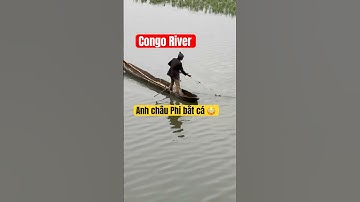 #shorts anh châu Phi giăng lưới bắt cá trên dòng sông Congo 🐠🐟📍🇨🇬