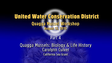 Part 4 - Quagga Mussels: Biology & Life History
