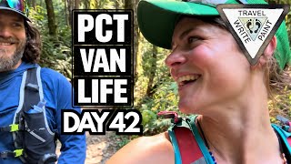 Walking Among Giants | Redwood Forest Nature Trail | PCT Van Life Day 42