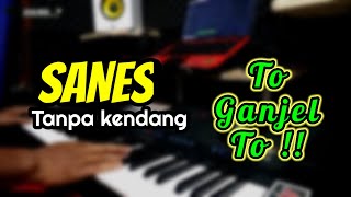 SANES ( cover ) Tanpa kendang