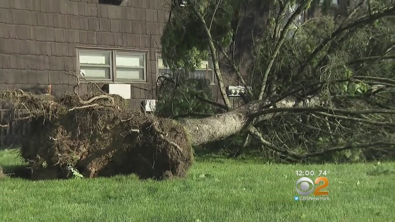 Cleaning Up From Storm Damage - YouTube