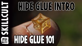 Quality Hide Glue From Scratch #1:  Introduction, overview, materials etc...