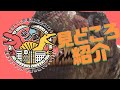 オダイバ恐竜博覧会2024 見どころ紹介 