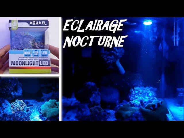 24W LED éclairage d'aquarium blanc + bleu aquarium à lumière