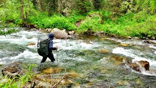 видео: Алтай. Через заповедник к реке Катунь. Часть 2 картинка: Алтай. Через заповедник к реке Катунь. Часть 2