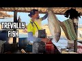 Satisfying trevally fish cutting skills  asmr expert fish cutting master