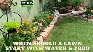 When Should a Lawn Start Getting Water and Food?
