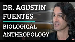 Simulation | AAA #289 Dr. Agustín Fuentes - Biological Anthropology