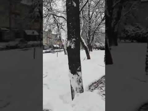 Ужгород розчищають від снігу