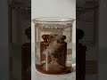 Rusted Lighter Restoration