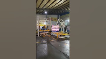 ABB Robot Palletizer with Double Claw Grippers for Fertilizer Bags Palletizing of 18 Bags/min