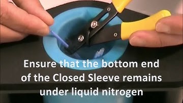 CryoLogic CVM  6  WARMING (Embryo Vitrification)