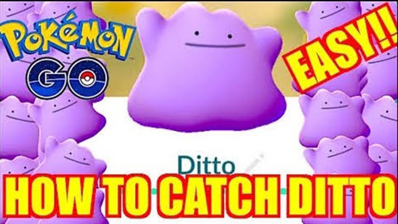 How To Catch Ditto In Pokemon Go Best Pokemon Tracker To Catch Ditto In One Minute In Hindi Youtube