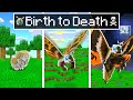 Baby Shark - Birth to Death in as MOTHRA KAIJUS in Minecraft - Animation!