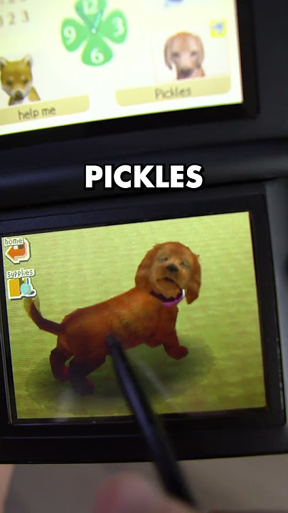 checking on my Nintendogs after 18 YEARS