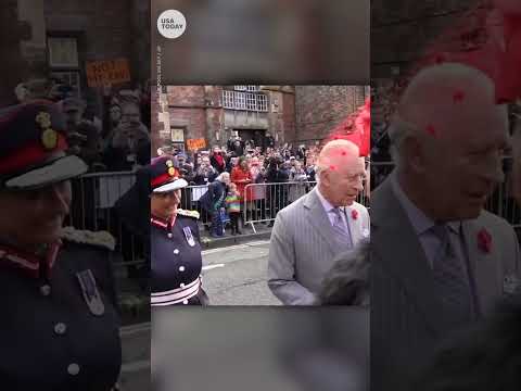 Man throws eggs at King Charles III and Queen Consort Camilla | USA TODAY #Shorts